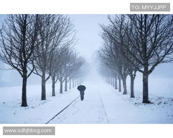 足球明星失落背影展现内心孤独与追梦艰辛的女性视角